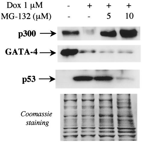 FIG. 11.