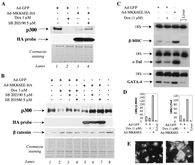 FIG. 8.