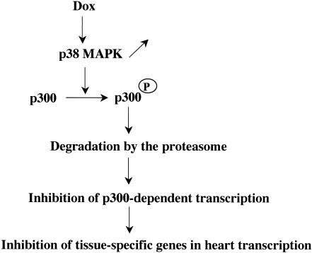 FIG. 12.