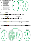 Fig. 13.