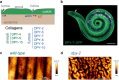 Fig. 10.