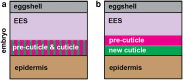 Fig. 14.