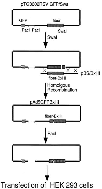 FIG. 5