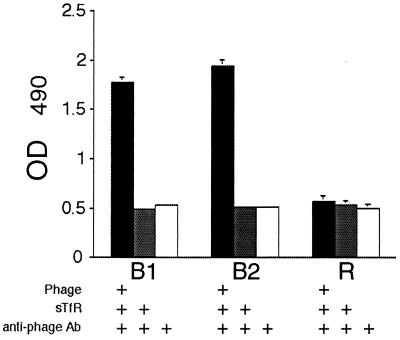 FIG. 1