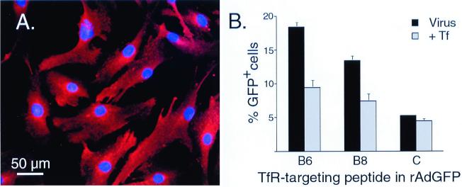 FIG. 8