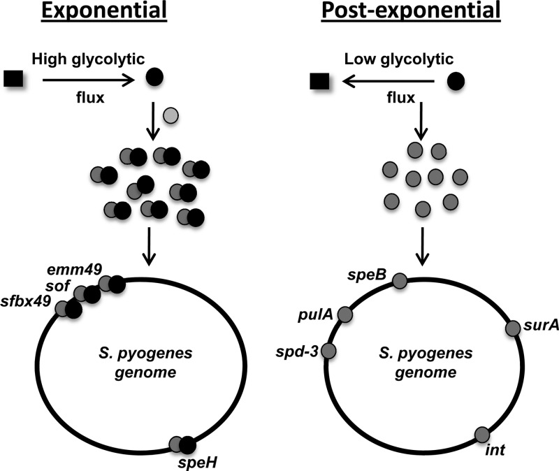 Fig 5