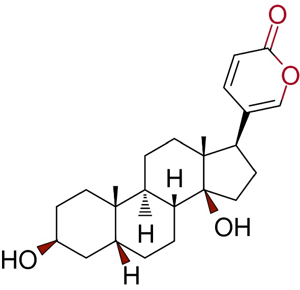 Fig. 2