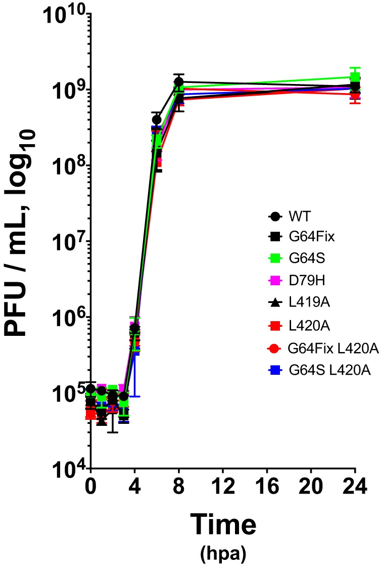 FIG 2