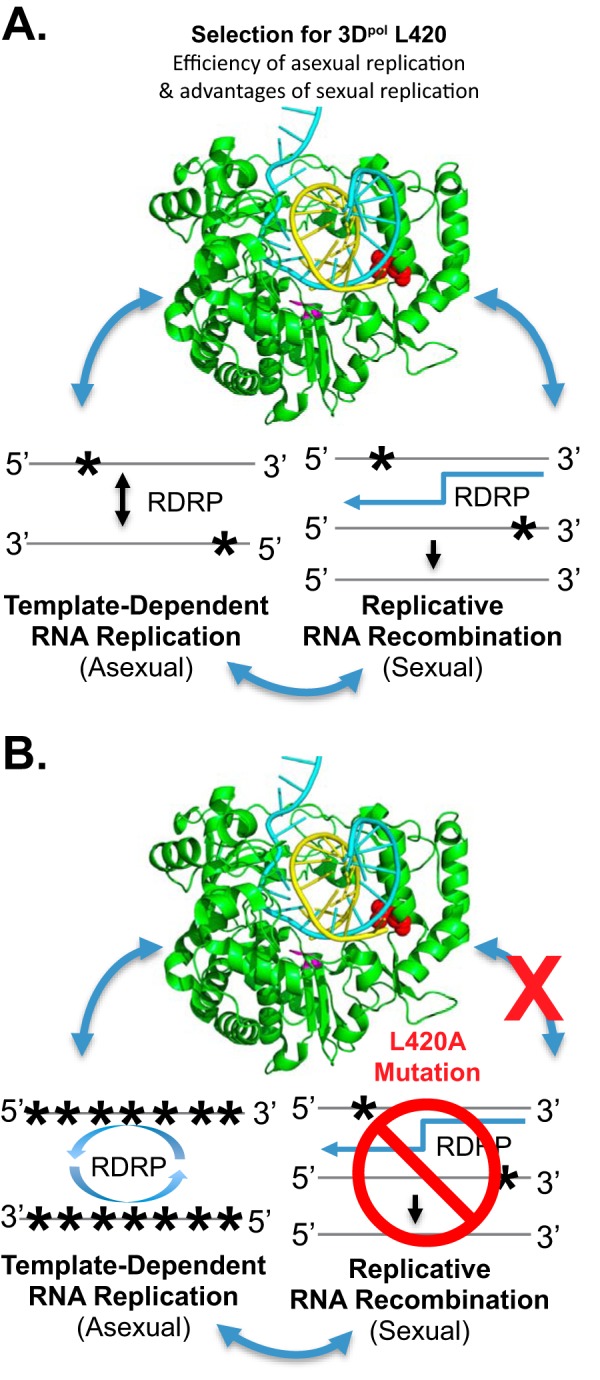 FIG 6