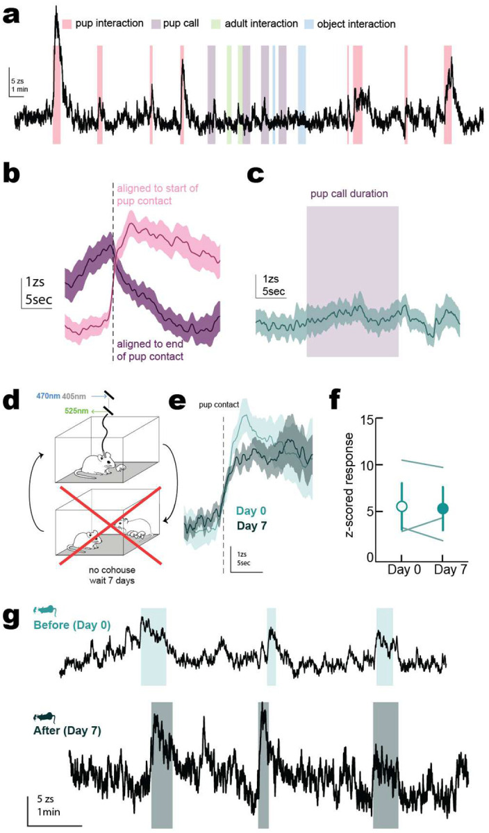 Extended Data Figure 2.