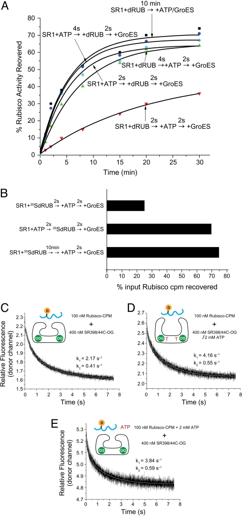 Fig. 3.