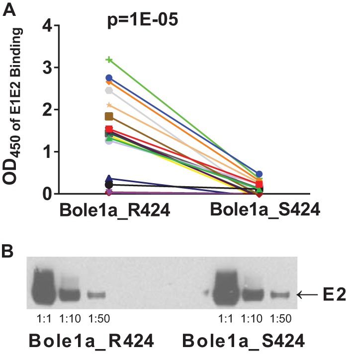 FIG 4