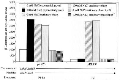 FIG. 7