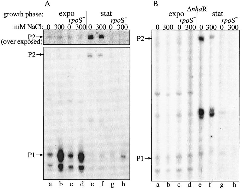 FIG. 6