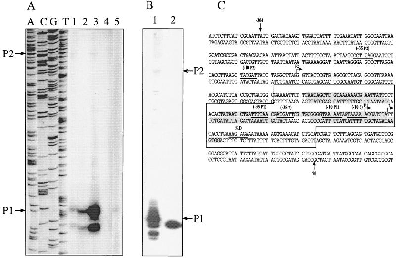 FIG. 1