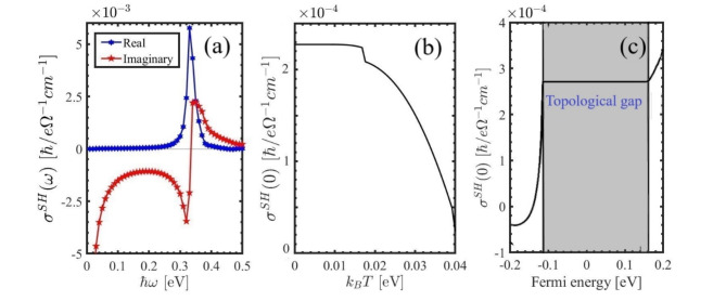 Fig. 9