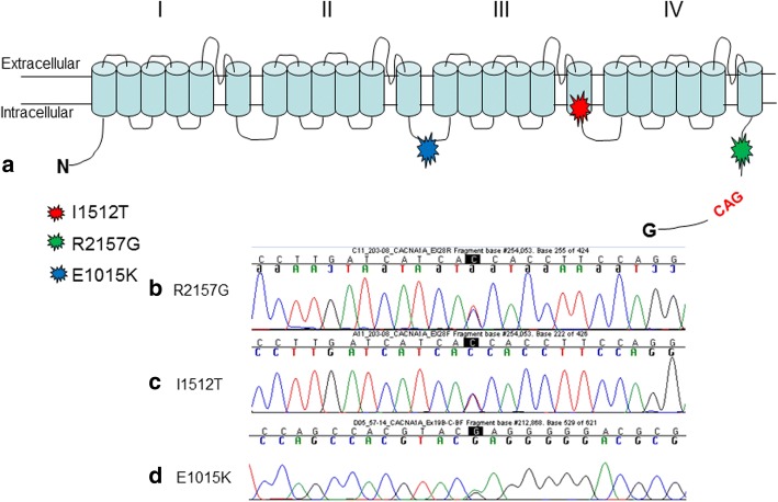 Fig. 1