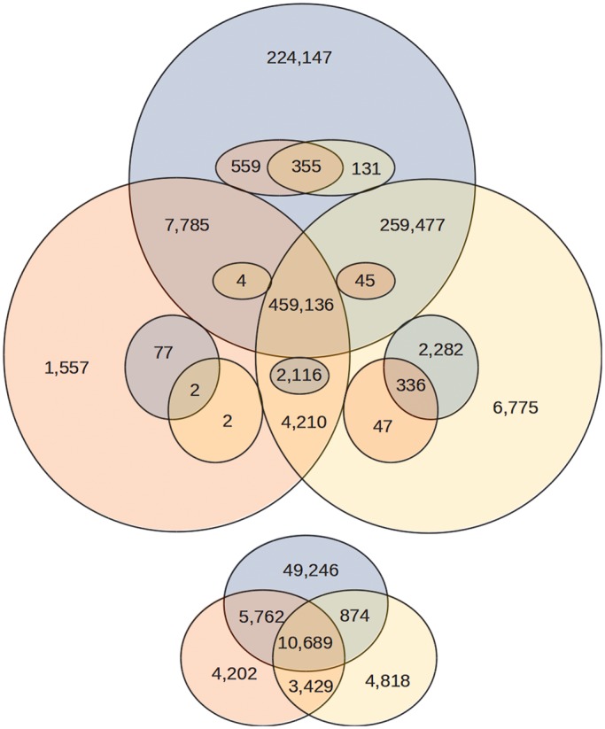 Figure 5.