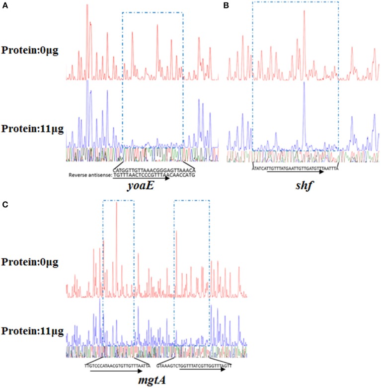 Figure 7