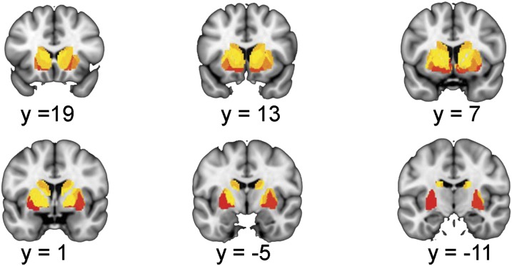 Fig. S1.