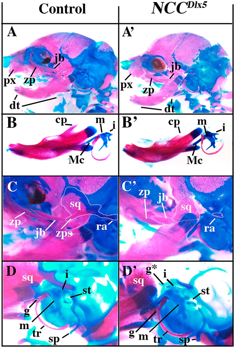 Figure 6