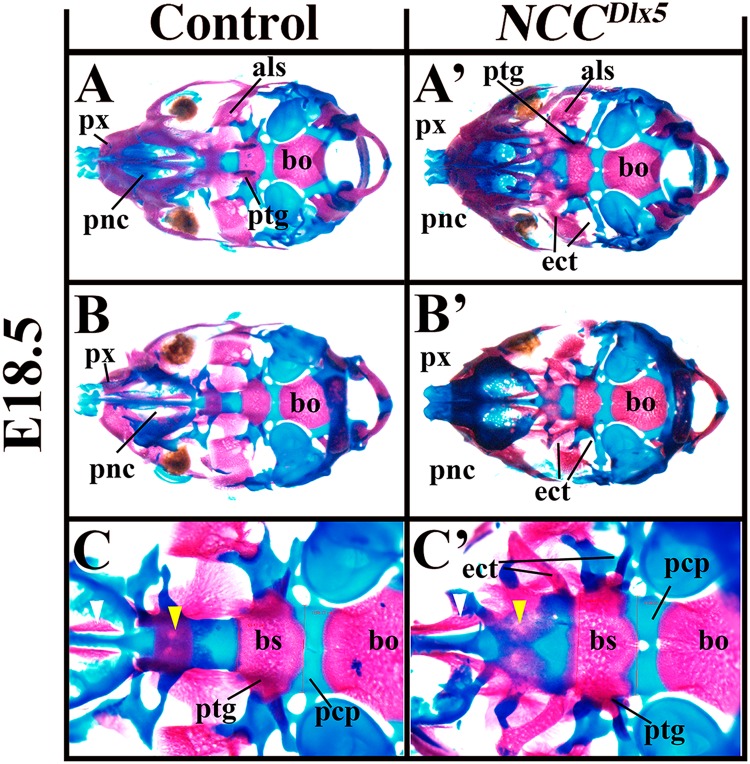 Figure 7