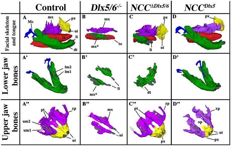 Figure 3