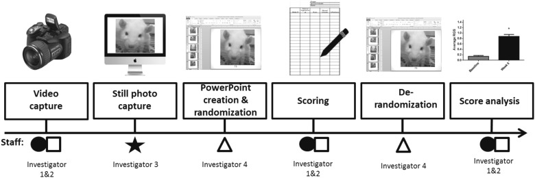 FIG. 3.