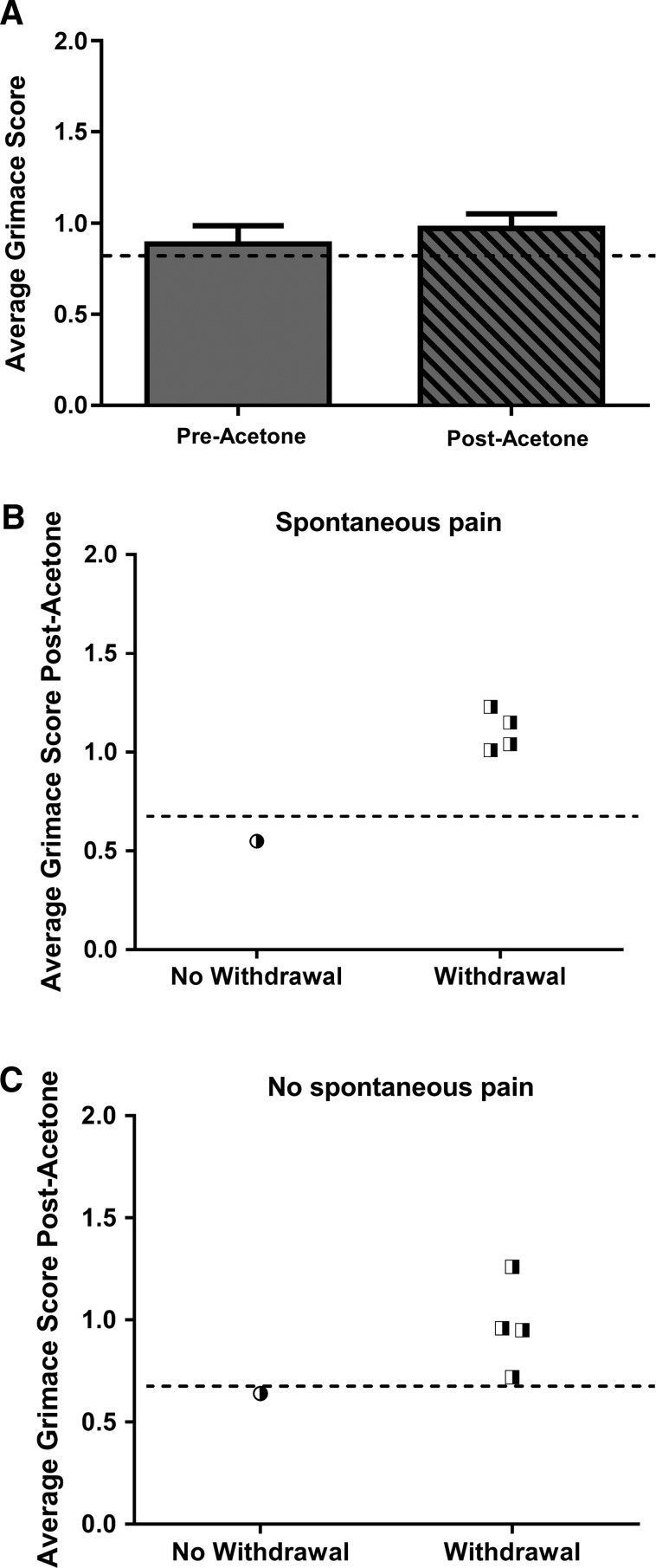 FIG. 7.