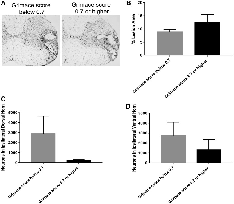 FIG. 8.