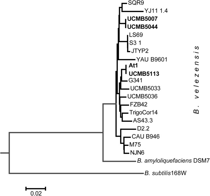 FIGURE 3