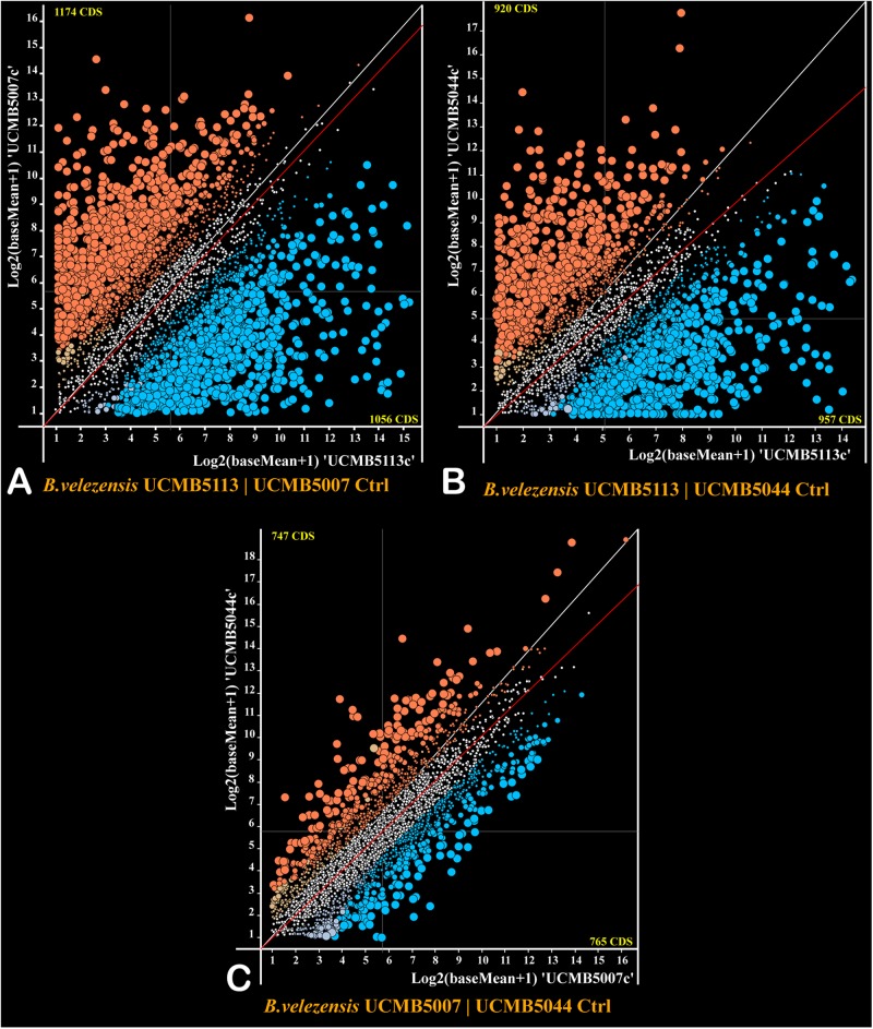 FIGURE 4