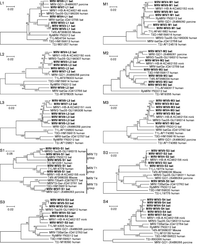 Fig. 2.