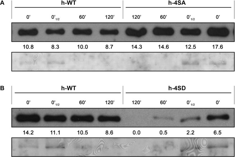 Fig. 9