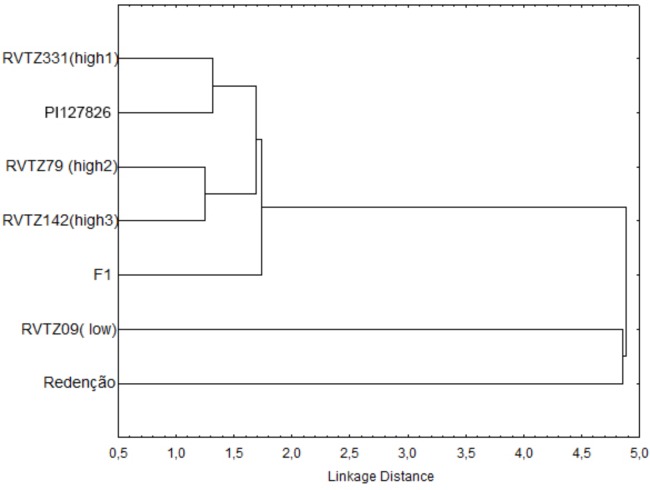 FIGURE 3