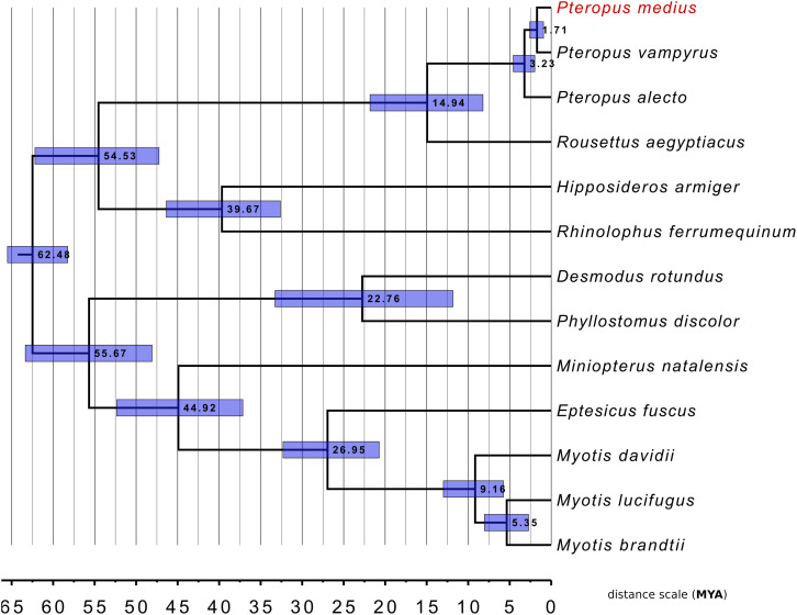 FIGURE 7