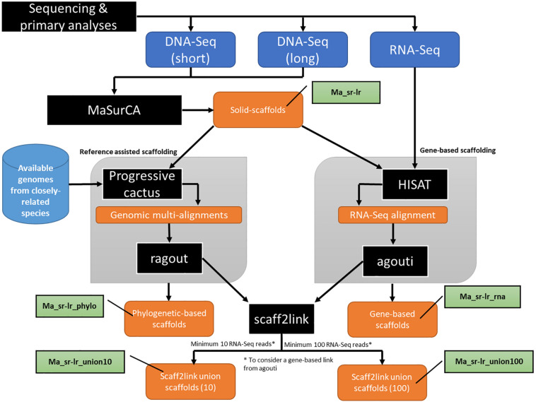 FIGURE 2