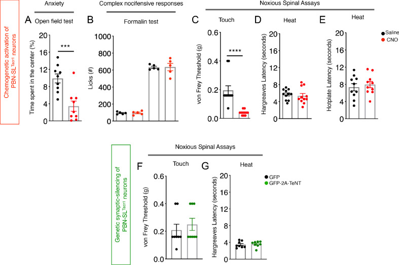 Figure 5—figure supplement 1.