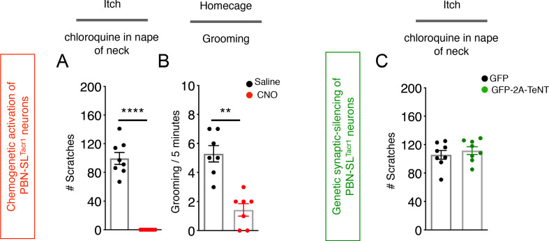 Figure 5—figure supplement 2.