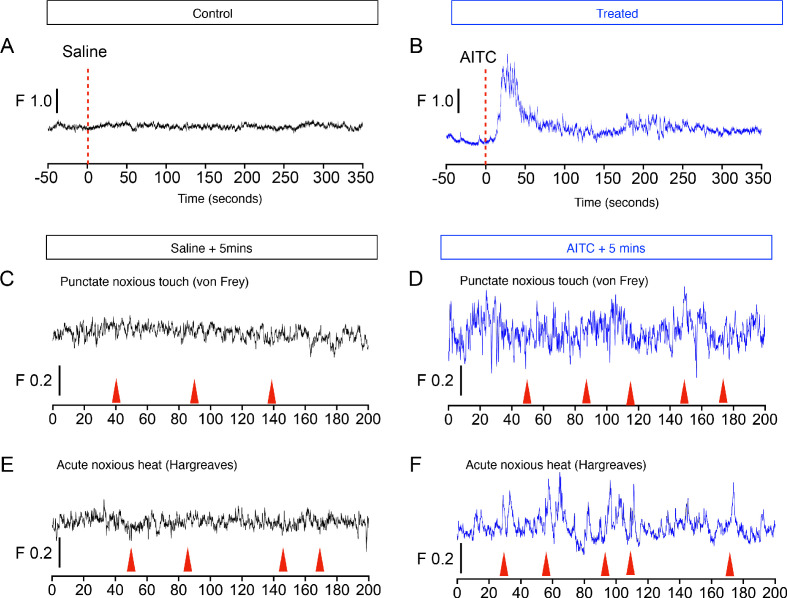 Figure 4—figure supplement 2.