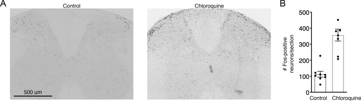 Figure 1—figure supplement 3.