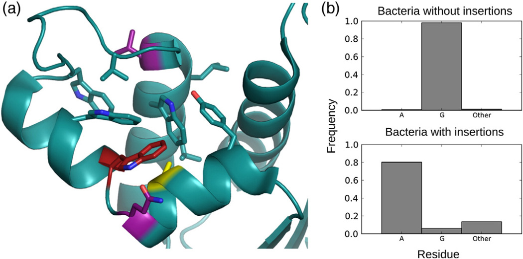 Fig. 6