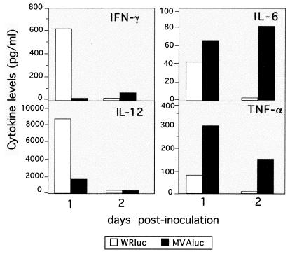 FIG. 8