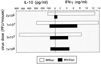 FIG. 7