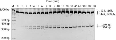 Figure 6.