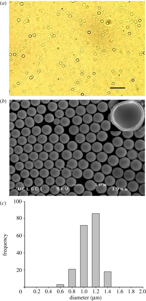 Figure 1.