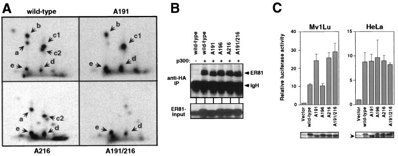 FIG. 8