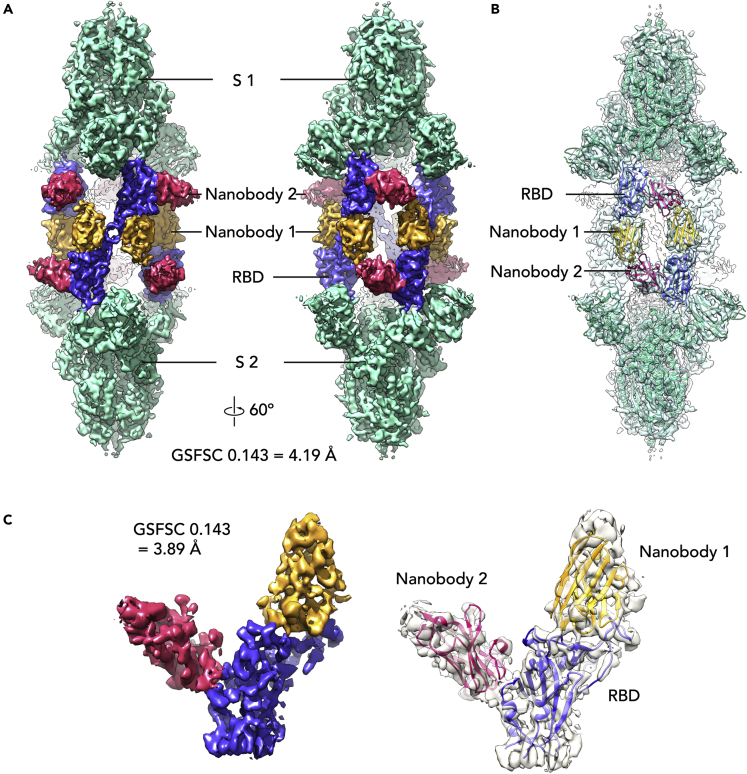 Figure 4