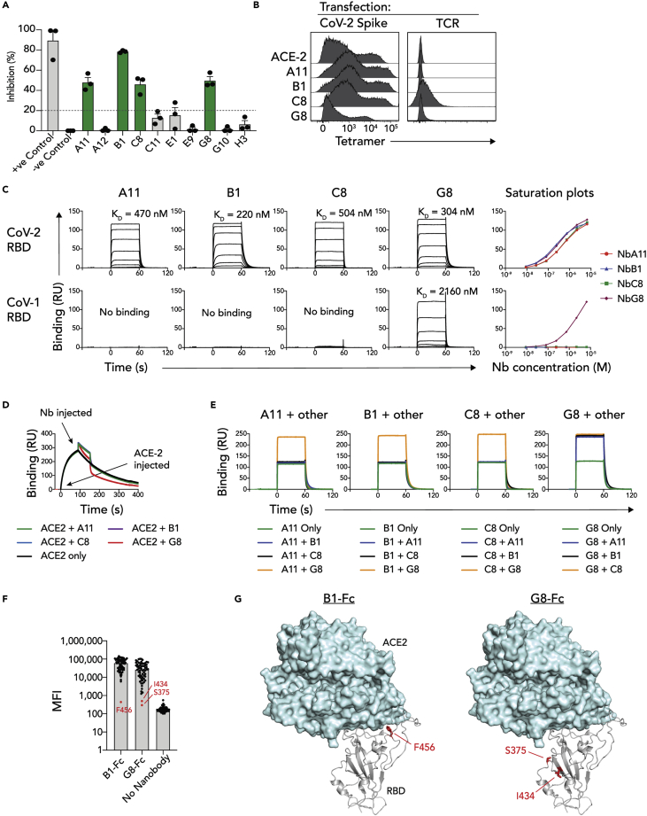 Figure 2