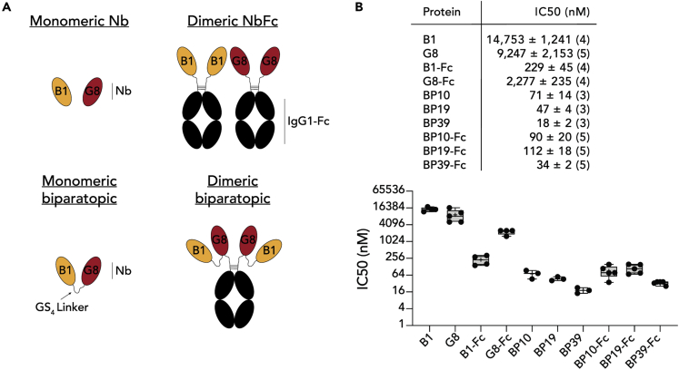 Figure 3